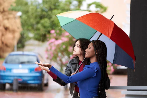 雨の日に傘の下で雨が降っているかどうかを調べる女性 フレンドシップコンセプト — ストック写真