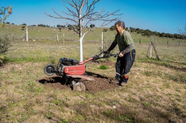 Bir çiftçi ekiciyle toprağı sürer. Bahçede toprak ekimi için bir makine yetiştiricisi. Tarım teması. Yüksek kalite fotoğraf
