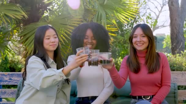 Wieloetniczna Grupa Trzech Kobiet Wznosi Toast Drinkami Jasnym Tarasie — Wideo stockowe