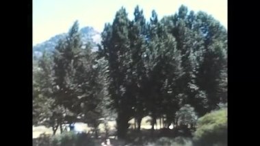 Madrid, Haziran 1970 şelaleli nehir ve 70 'lerde İspanya' da yüzen bir köpek.