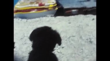 Madrid, İspanya Haziran 1970: 70 'lerde İspanya' da gölde köpekli insanlar