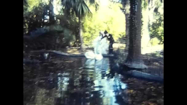 Palermo Italien Dezember 1980 Glückliches Brautpaar Füttert Die Gänse Teich — Stockvideo
