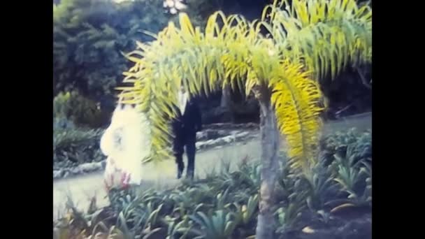 1980年12月 意大利帕勒莫 快乐的新婚夫妇在80年代的一个公园里散步 — 图库视频影像