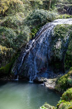 Güneşli bir günde, bataklık şelalesinin su birikintileriyle dolu dereler.