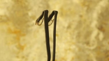 luxury gold and diamond jewelery