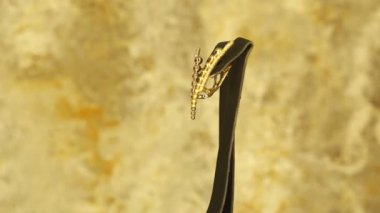 luxury gold and diamond jewelery