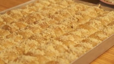 Geleneksel hindistancevizli tatlı baklavası. Ev yapımı fındıklı ve ballı baklava..