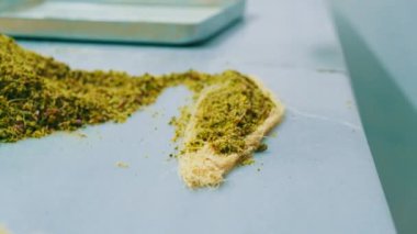 Geleneksel hindistancevizli tatlı baklavası. Ev yapımı fındıklı ve ballı baklava..