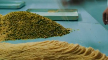 Geleneksel hindistancevizli tatlı baklavası. Ev yapımı fındıklı ve ballı baklava..