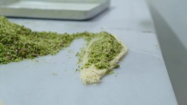 Geleneksel hindistancevizli tatlı baklavası. Ev yapımı fındıklı ve ballı baklava..
