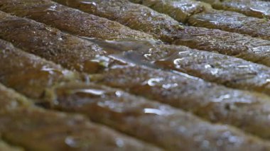 Geleneksel hindistancevizli tatlı baklavası. Ev yapımı fındıklı ve ballı baklava..