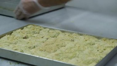 Geleneksel hindistancevizli tatlı baklavası. Ev yapımı fındıklı ve ballı baklava..