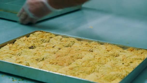 カシューナッツ クルミと伝統的なトルコのデザートバクラバ ナッツと蜂蜜と自家製のバクラバ — ストック動画