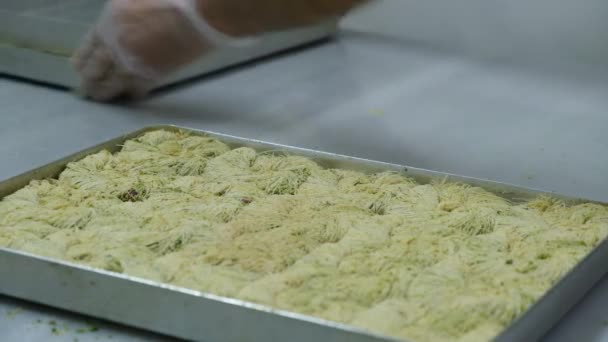 カシューナッツ クルミと伝統的なトルコのデザートバクラバ ナッツと蜂蜜と自家製のバクラバ — ストック動画