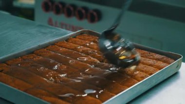 Geleneksel hindistancevizli tatlı baklavası. Ev yapımı fındıklı ve ballı baklava..