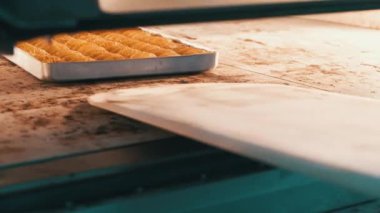 Geleneksel hindistancevizli tatlı baklavası. Ev yapımı fındıklı ve ballı baklava..