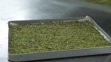 Geleneksel hindistancevizli tatlı baklavası. Ev yapımı fındıklı ve ballı baklava..