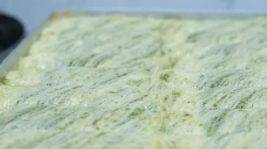 Geleneksel hindistancevizli tatlı baklavası. Ev yapımı fındıklı ve ballı baklava..