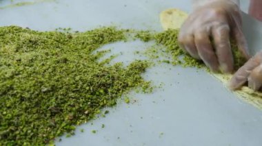 Geleneksel hindistancevizli tatlı baklavası. Ev yapımı fındıklı ve ballı baklava..