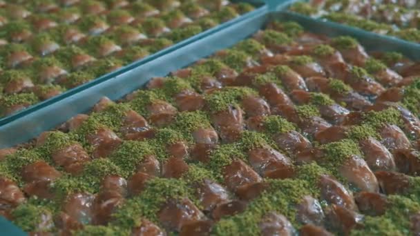 Sobremesa Tradicional Turca Baklava Com Caju Nozes Baklava Caseira Com — Vídeo de Stock