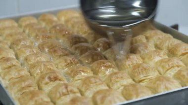 Geleneksel hindistancevizli tatlı baklavası. Ev yapımı fındıklı ve ballı baklava..