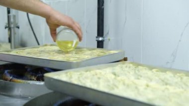 Geleneksel hindistancevizli tatlı baklavası. Ev yapımı fındıklı ve ballı baklava..
