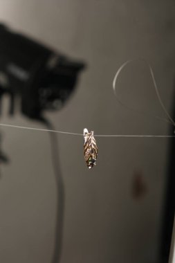 luxury gold and diamond jewelery