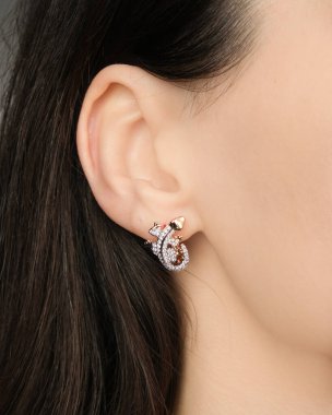 Zarif mücevherler, değerli taşlar takılmış mücevherler.. 