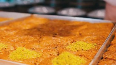 Geleneksel hindistancevizli tatlı baklavası. Ev yapımı fındıklı ve ballı baklava..