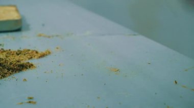 Geleneksel hindistancevizli tatlı baklavası. Ev yapımı fındıklı ve ballı baklava..