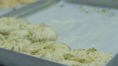 Geleneksel hindistancevizli tatlı baklavası. Ev yapımı fındıklı ve ballı baklava..
