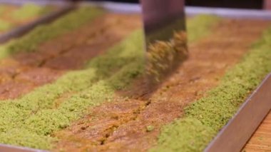 Geleneksel hindistancevizli tatlı baklavası. Ev yapımı fındıklı ve ballı baklava..