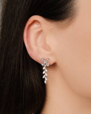 Zarif mücevherler, değerli taşlar takılmış mücevherler.. 