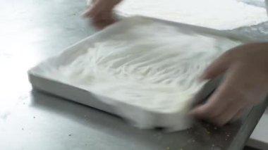 Geleneksel hindistancevizli tatlı baklavası. Ev yapımı fındıklı ve ballı baklava..