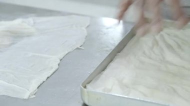 Geleneksel hindistancevizli tatlı baklavası. Ev yapımı fındıklı ve ballı baklava..