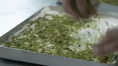 Geleneksel hindistancevizli tatlı baklavası. Ev yapımı fındıklı ve ballı baklava..