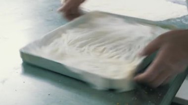Geleneksel hindistancevizli tatlı baklavası. Ev yapımı fındıklı ve ballı baklava..