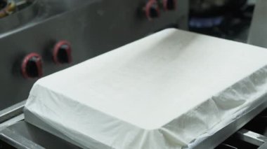 Geleneksel hindistancevizli tatlı baklavası. Ev yapımı fındıklı ve ballı baklava..