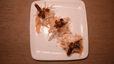 Geleneksel Türk ve Yunan yemek meze masası