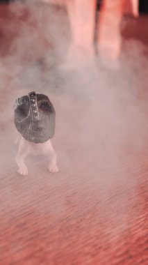 Maske ve köpek mayonez figürü, özel koleksiyon figürü.