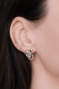 Gümüş, altın, elmas, değerli taşlar gibi şık mücevherler..