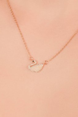 Gümüş, altın, elmas, değerli taşlar gibi şık mücevherler..