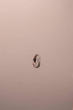 Gümüş, altın, elmas, değerli taşlar gibi şık mücevherler..