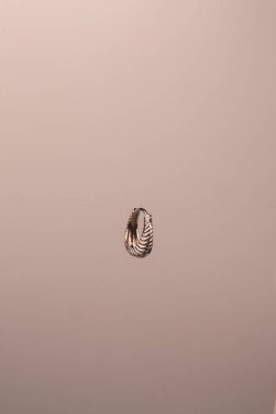 Gümüş, altın, elmas, değerli taşlar gibi şık mücevherler..