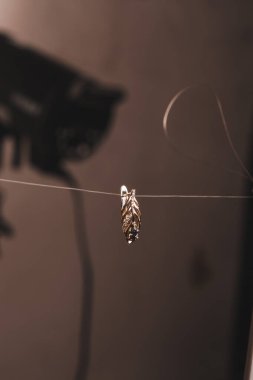 Gümüş, altın, elmas, değerli taşlar gibi şık mücevherler..