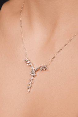 Gümüş, altın, elmas, değerli taşlar gibi şık mücevherler..