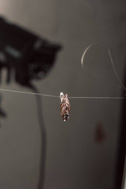 Şık mücevherler, elmaslar ve değerli taşlar..