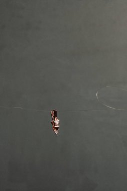 Şık mücevherler, elmaslar ve değerli taşlar..