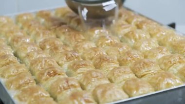 Geleneksel hindistancevizli tatlı baklavası. Ev yapımı fındıklı ve ballı baklava..
