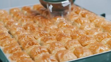 Geleneksel hindistancevizli tatlı baklavası. Ev yapımı fındıklı ve ballı baklava..